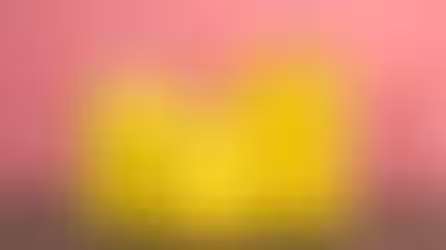 Get to Know Prima's Warranty