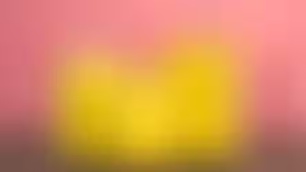 Get to Know Prima's Warranty